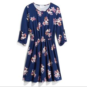 French Grey Murphy brushed knit dress (stitch fix)